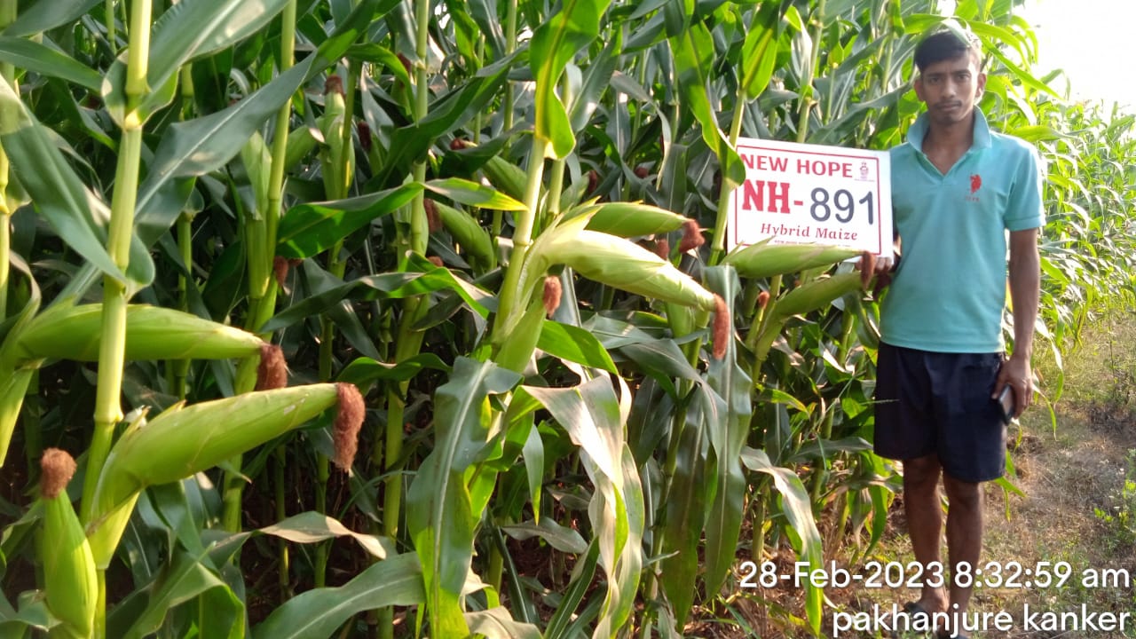 NH 891