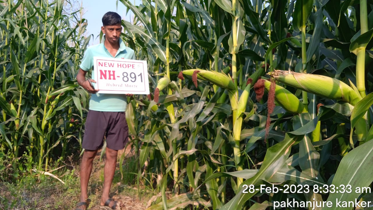 NH 891